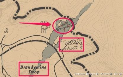 legendary fish rdr2|rdr2 legendary fish brandywine drop.